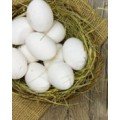 Duck Eggs