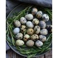 Quail Eggs (Kaada)