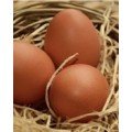 Hen Eggs