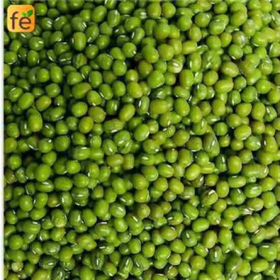 Moong - Green / Cherupayar, 500 g Pouch