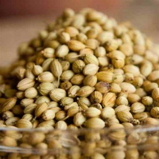 Coriander/Dhania - Seeds, 100 g